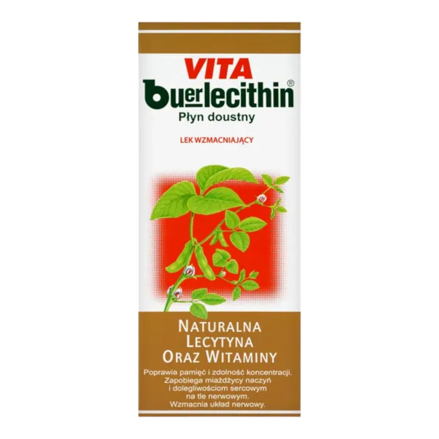 Vita Buerlecithin Lecithin Oral Liquid 1L